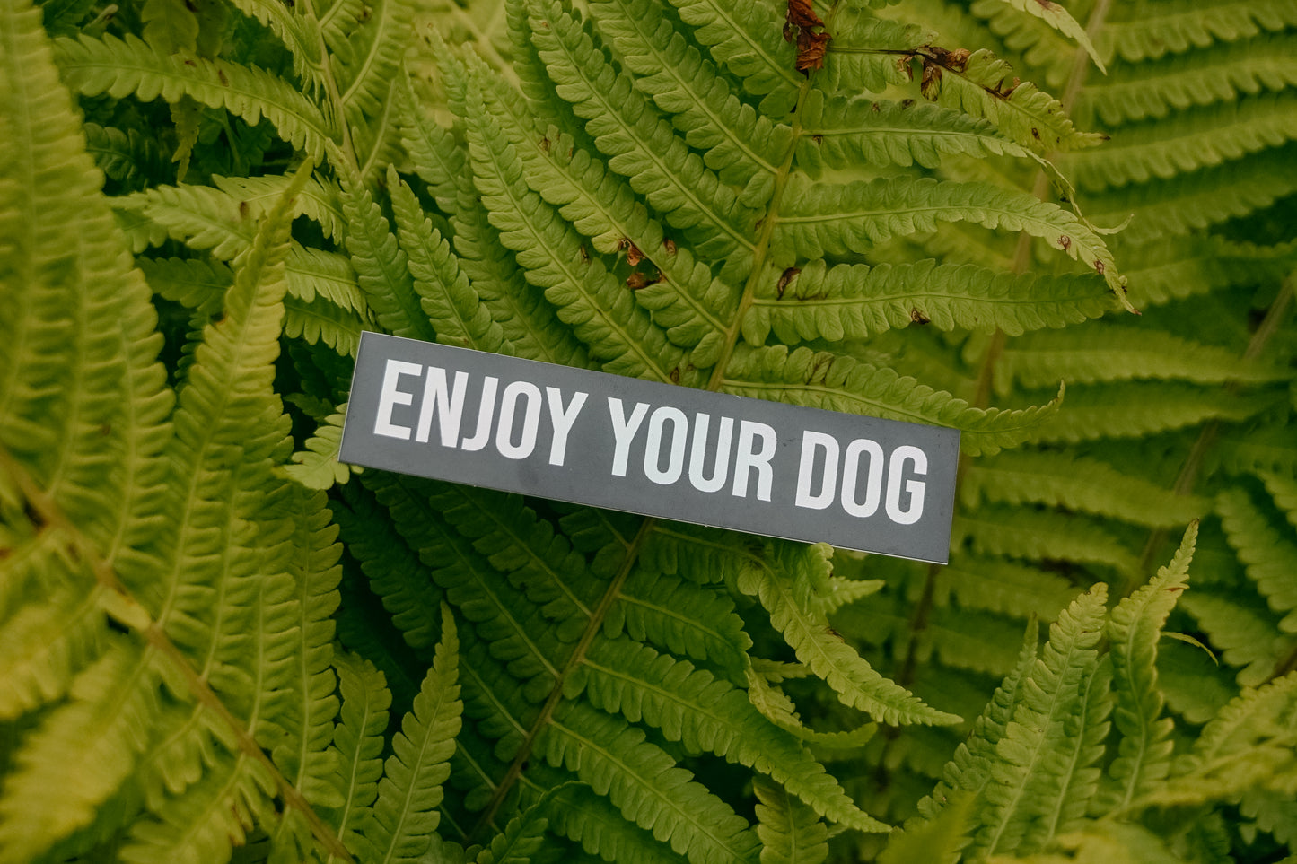 Enjoy Your Dog Sticker