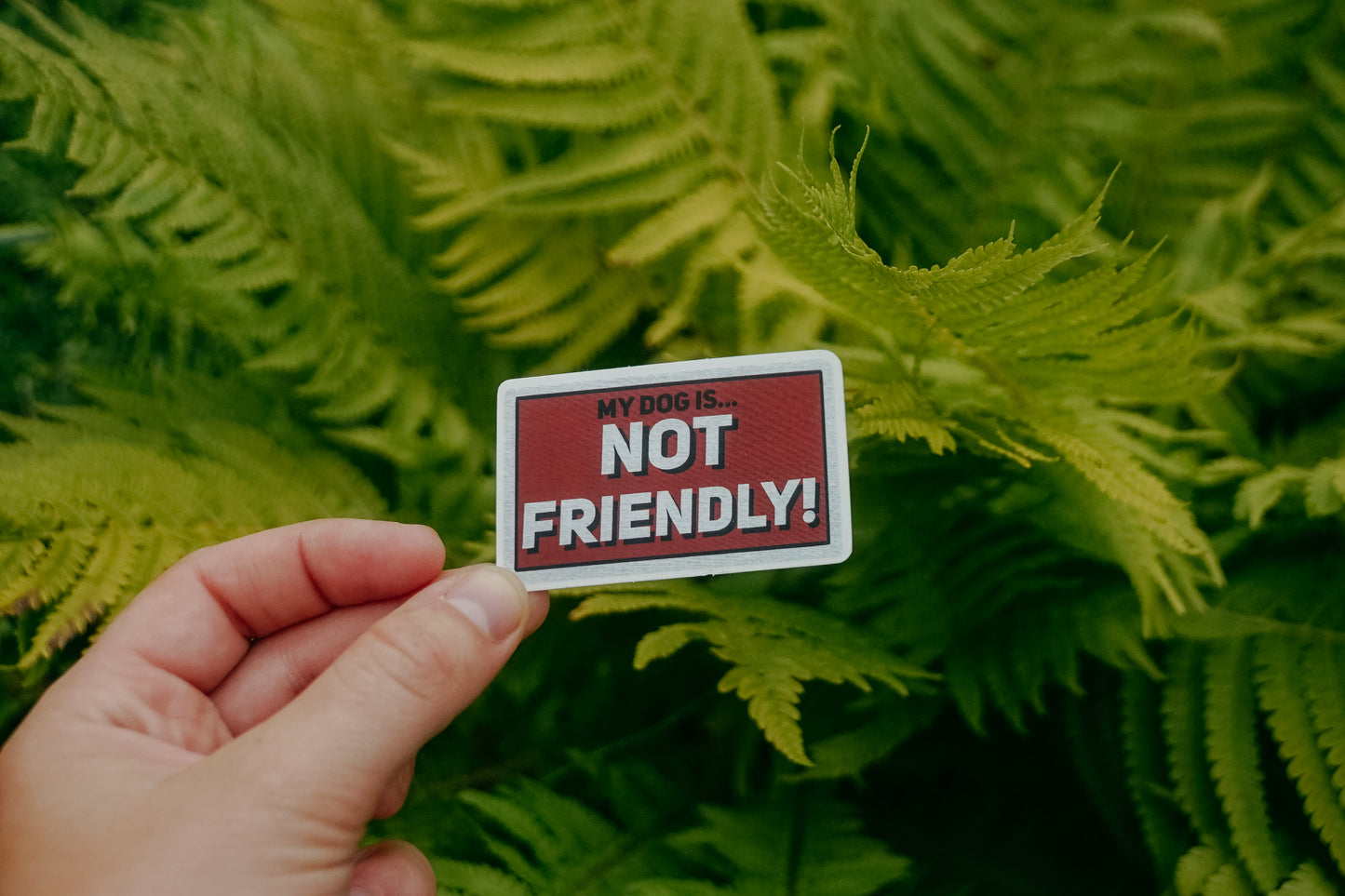 Not Friendly Sticker